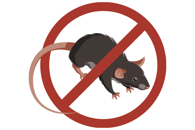 Sinalização de sem ratos, significando desratização em residência