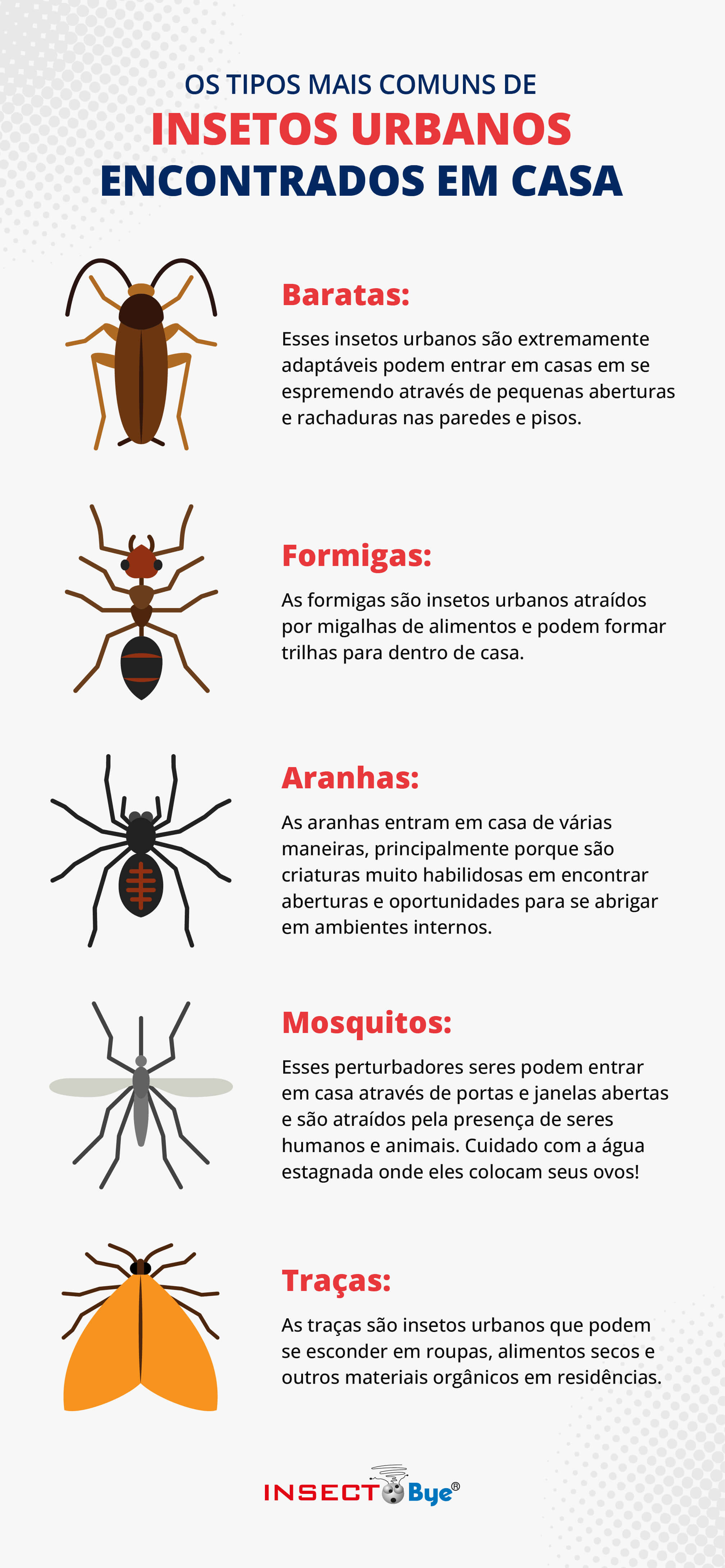 Lista de insetos urbanos mais comuns.