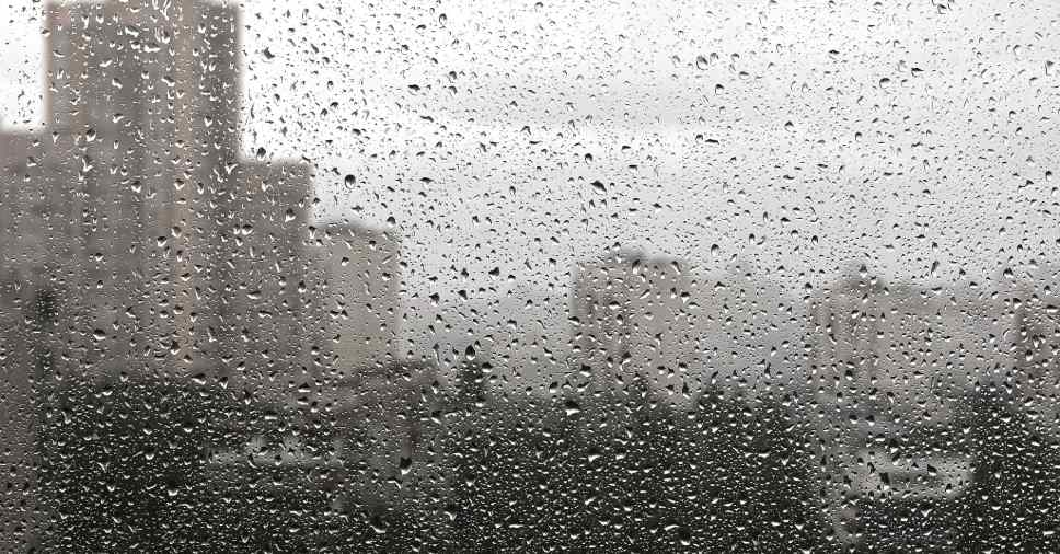 Aprenda como espantar mosquito de chuva