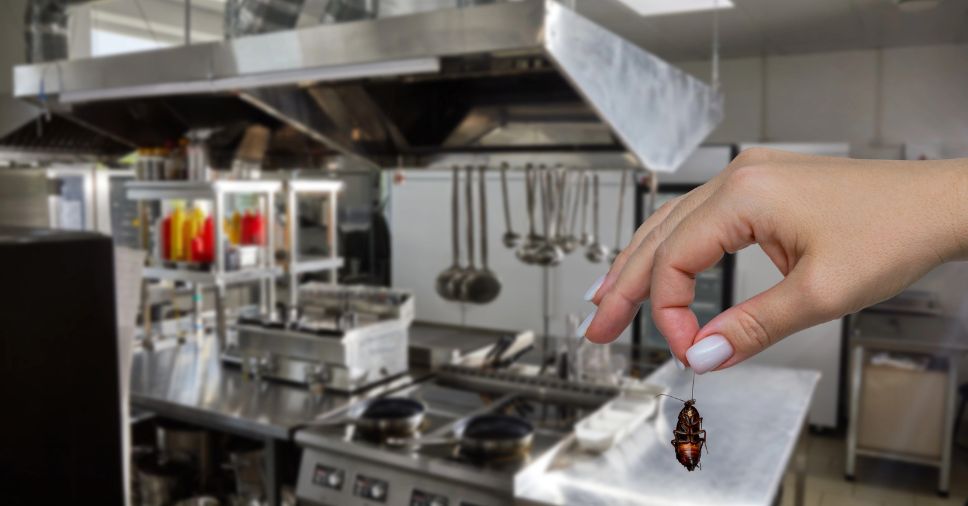 Mão segura uma barata morta em uma cozinha industrial, alertando sobre os riscos para a imagem do seu negócio.