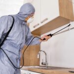 Detalhe de serviço de dedetização residencial focado em diferenças entre cupim e broca.