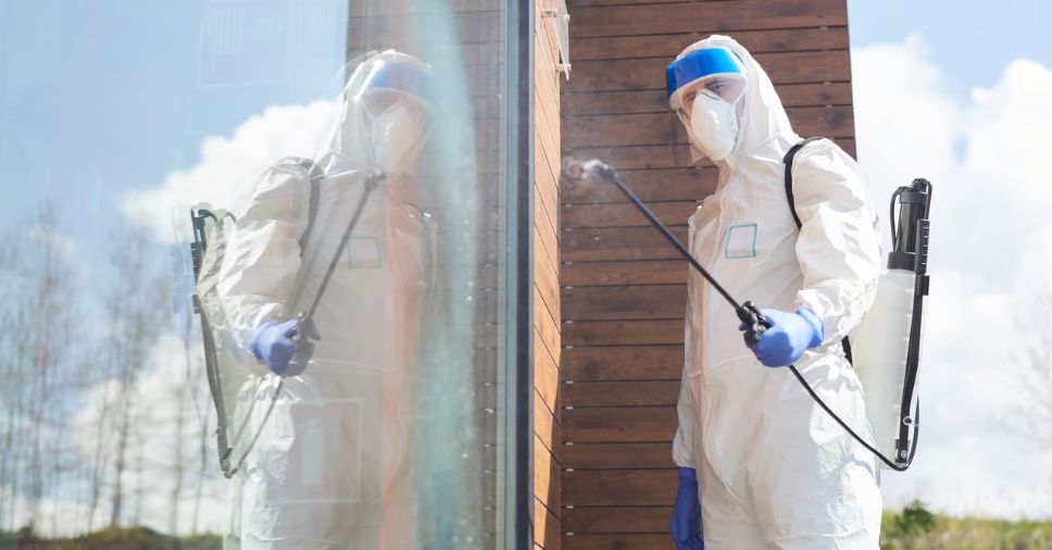 Dedetização no frio: proteja sua casa para o verão no RJ!